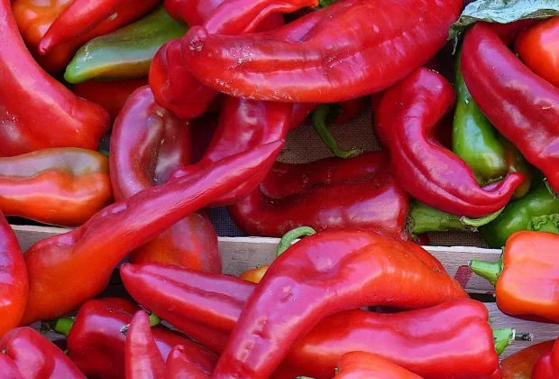 Piment d'Espelette