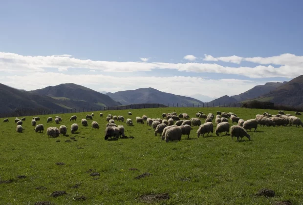 location de vacances au pays basque pour amoureux de nature