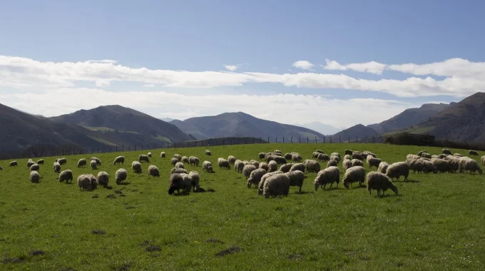 location de vacances au pays basque pour amoureux de nature